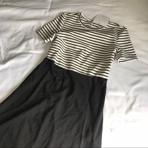 Zara Stripe Skater Dress